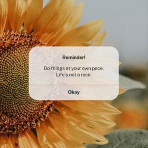 Meet your Posher, Mireya